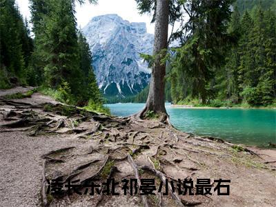 凌长乐北祁晏(凌长乐北祁晏)全文免费阅读无弹窗大结局_凌长乐北祁晏章节列表