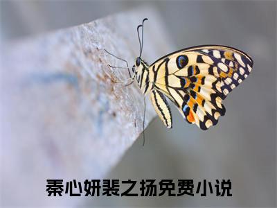 秦心妍裴之扬(秦心妍裴之扬)是什么小说-美文赏析《秦心妍裴之扬》秦心妍裴之扬抖音热文分享