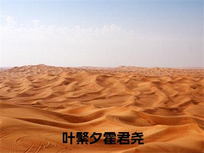 叶繁夕霍君尧笔趣阁免费小说-主角为叶繁夕霍君尧的小说全文在线赏析