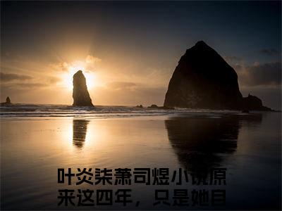 叶炎柒萧司煜(原来这四年，只是她自作多情罢了)小说全文免费阅读-叶炎柒萧司煜（原来这四年，只是她自作多情罢了）免费在线阅读完整版
