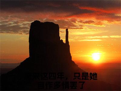 原来这四年，只是她自作多情罢了(叶炎柒萧司煜小说)全文免费阅读无弹窗大结局_叶炎柒萧司煜小说免费阅读最新章节列表_笔趣阁（原来这四年，只是她自作多情罢了小说）