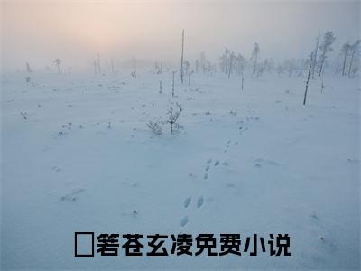 岄箬苍玄凌小说（岄箬苍玄凌）全文免费阅读无弹窗大结局_岄箬苍玄凌小说无弹窗精彩阅读_笔趣阁