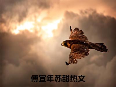 热推新书傅宜年苏甜小说全文（傅宜年苏甜）全文免费阅读_傅宜年苏甜最新章节无弹窗阅读