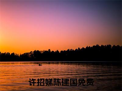 许招娣陈建国（许招娣陈建国全文免费阅读）完结阅读_许招娣陈建国全文免费阅读免费看全文