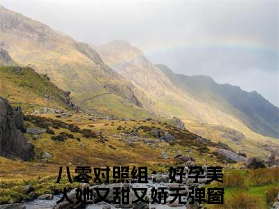 苏岁魏肆（八零对照组：好孕美人她又甜又娇全文免费大结局）在线阅读-八零对照组：好孕美人她又甜又娇全文无删减免费赏析