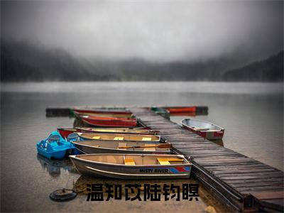 《温知苡陆钧瞑》小说好看吗-温知苡陆钧瞑最后结局如何《温知苡陆钧瞑》在线赏析全文