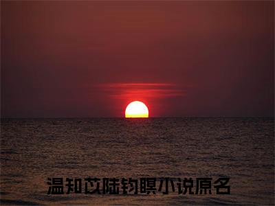 《温知苡陆钧瞑》全文免费阅读最新章节大结局-温知苡陆钧瞑无弹窗阅读