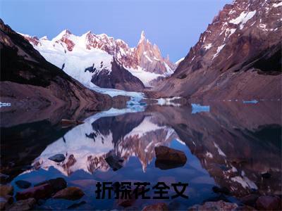 (沈珏白玉安抖音小说)折探花小说全文阅读免费