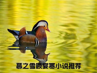 慕之雪顾宴寒慕之雪顾宴寒全文免费阅读_（慕之雪顾宴寒免费阅读无弹窗）慕之雪顾宴寒最新章节列表笔趣阁