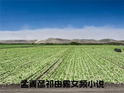 孟青彦祁由霖（孟青彦祁由霖）全文免费阅读无弹窗大结局_(孟青彦祁由霖小说免费阅读)_笔趣阁