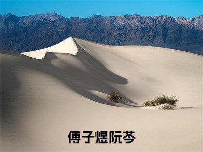 傅子煜阮芩全文免费阅读无弹窗-傅子煜阮芩小说最新章节列表