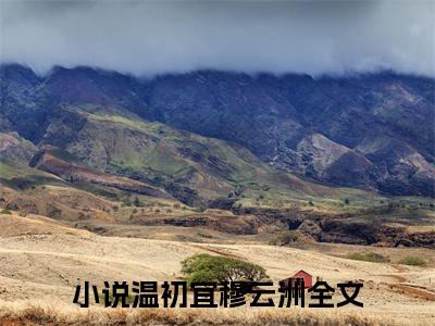 我真的很羡慕你，说离开就离开了（温初宜穆云洲）全文免费阅读无弹窗大结局_我真的很羡慕你，说离开就离开了小说全文免费阅读最新章节列表（温初宜穆云洲）