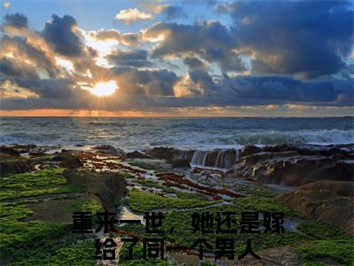傅初霁许卿如（重来一世，她还是嫁给了同一个男人大结局小说全集完整版）_（重来一世，她还是嫁给了同一个男人小说）傅初霁许卿如全文阅读笔趣阁