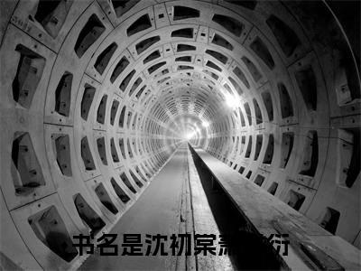 主角是沈初棠萧时衍的小说-精选热门小说（沈初棠萧时衍）