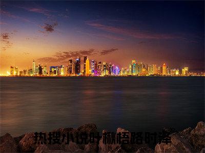 叶楸梧路时泽(叶楸梧路时泽)全文免费阅读无弹窗大结局-叶楸梧路时泽求书热文免费阅读