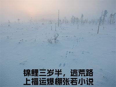 锦鲤三岁半，逃荒路上福运爆棚张若大结局全文免费阅读最新章节_锦鲤三岁半，逃荒路上福运爆棚张若大结局