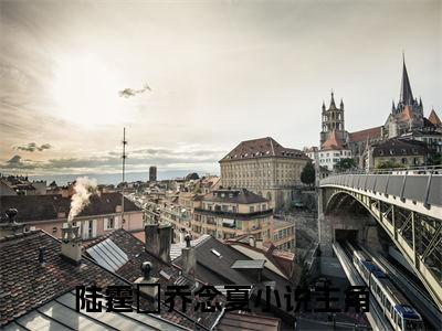 小说陆霆燚乔念夏全文免费阅读无弹窗大结局_（重生八零：娇美医妻撩倒铁血老公）全文在线阅读