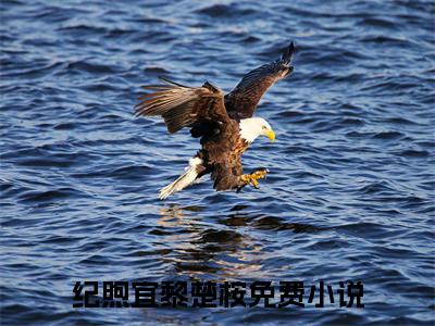 纪煦宜黎楚桉（纪煦宜黎楚桉）完结小说无弹窗-纪煦宜黎楚桉全文大结局免费阅读已完结