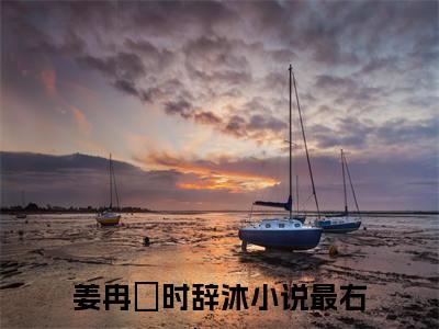 姜冉晞时辞沐人气小说在线阅读,姜冉晞时辞沐正版小说全文阅读
