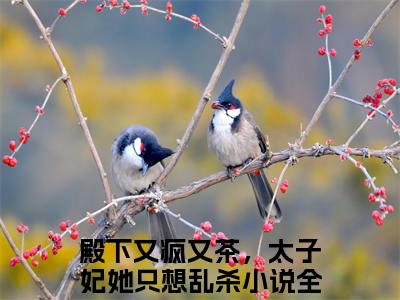 殿下又疯又茶，太子妃她只想乱杀小说全文免费阅读无弹窗大结局_（殿下又疯又茶，太子妃她只想乱杀全文免费阅读）妺染宗政玄廷最新章节列表笔趣阁