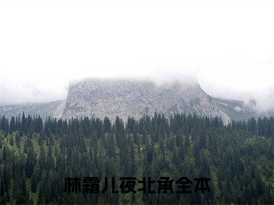 林霜儿夜北承（林霜儿夜北承）全文免费阅读无弹窗_林霜儿夜北承最新小说_笔趣阁（林霜儿夜北承）