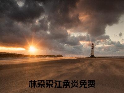 林染染江承炎无广告小说正版在线阅读,林染染江承炎全文在线阅读大结局