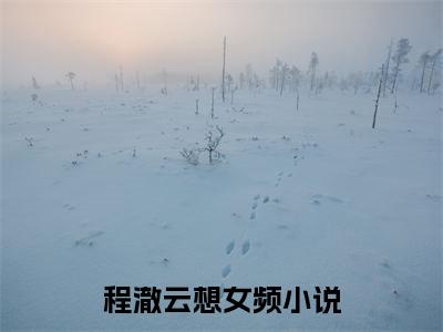 程澈云想（程澈云想）小说-程澈云想小说免费阅读