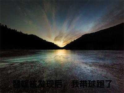 替嫁被发现后，我带球跑了（温暖傅随安全章节完整版）免费阅读_（替嫁被发现后，我带球跑了）全文无删减免费阅读（替嫁被发现后，我带球跑了）