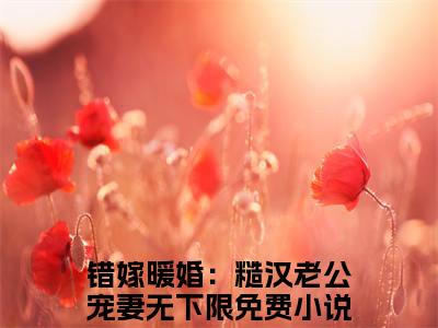 陆致洵白絮全文免费在线阅读_（陆致洵白絮免费阅读无弹窗）错嫁暖婚：糙汉老公宠妻无下限全文免费完结版阅读（陆致洵白絮）