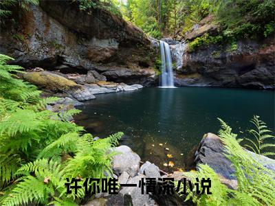 郁唯一林见深（许你唯一情深小说全文）在线阅读-郁唯一林见深全文免费阅读大结局