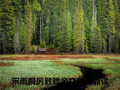 宋雨桐厉致晔（宋雨桐厉致晔）全文免费阅读_宋雨桐厉致晔最新章节列表言情小说在线阅读