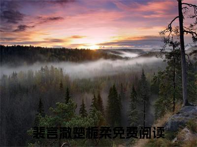 裴言澈楚栀柔（潮吻夜）小说全文免费阅读大结局-裴言澈楚栀柔免费阅读无弹窗大结局