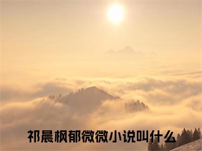 祁晨枫郁微微全文免费阅读（祁晨枫郁微微小说）全文免费阅读无弹窗大结局_（祁晨枫郁微微全文免费阅读无弹窗）祁晨枫郁微微小说最新章节列表_笔趣阁（祁晨枫郁微微）