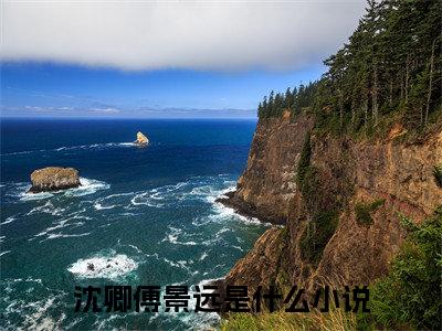 沈卿傅景远全文（沈卿傅景远）全文免费阅读无弹窗大结局_沈卿傅景远最新章节列表_笔趣阁（沈卿傅景远）