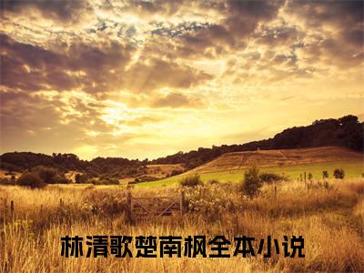 林清歌楚南枫正版小说最新章节在线阅读-小说林清歌楚南枫已完结全集大结局