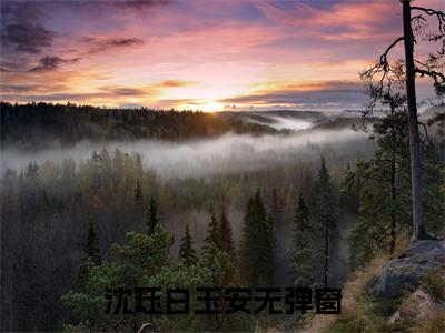 沈珏白玉安（沈珏白玉安）全文免费阅读无弹窗大结局_沈珏白玉安热门小说最新章节阅读