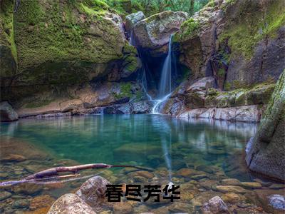 春尽芳华卿辞苍玄抖音热推新书小说全文阅读 （卿辞苍玄）全文免费阅读大结局
