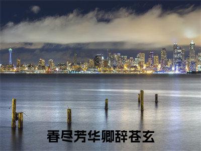 卿辞苍玄全文免费阅读大结局 春尽芳华小说最新章节阅读无弹窗