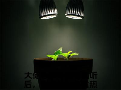 大佬心声被暴君偷听后，躺平了上官霜（大佬心声被暴君偷听后，躺平了上官霜小说全文）在线阅读无弹窗大结局-大佬心声被暴君偷听后，躺平了上官霜全文无删减版阅读