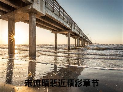 好书推荐小说宋沐晴裴近-宋沐晴裴近全文免费阅读大结局