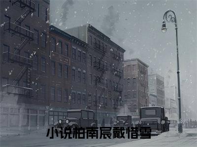 柏南宸戴惜雪（柏南宸戴惜雪全文免费阅读）完结阅读_柏南宸戴惜雪全文免费阅读免费看全文