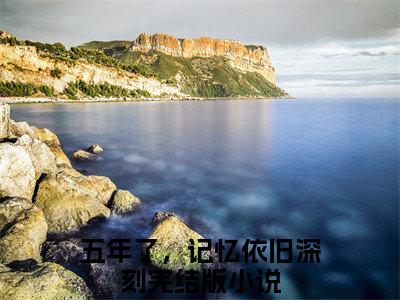 沈言孟舟无广告免费阅读-小说五年了，记忆依旧深刻最后结局如何