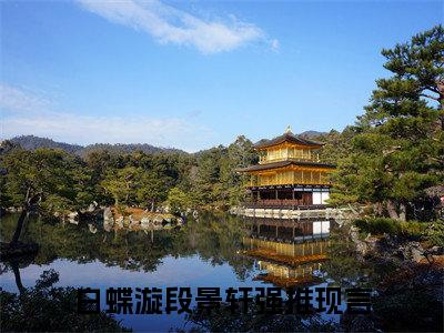 白蝶漩段景轩（白蝶漩段景轩）小说全文免费阅读无弹窗大结局_（白蝶漩段景轩）小说全文免费阅读最新章节列表笔趣阁