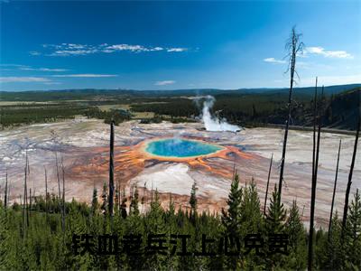 铁血老兵江上心（铁血老兵江上心）全文免费阅读无弹窗大结局_铁血老兵江上心完整版小说阅读
