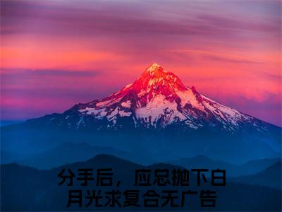 分手后，应总抛下白月光求复合（司沐颜应司寒）全文免费阅读无弹窗大结局_(分手后，应总抛下白月光求复合小说全文免费阅读)最新章节列表