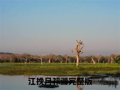 救赎那个偏执阴暗少年快手小说（江挽月祁渊）txt阅读大结局-抖音近期热门救赎那个偏执阴暗少年全文免费