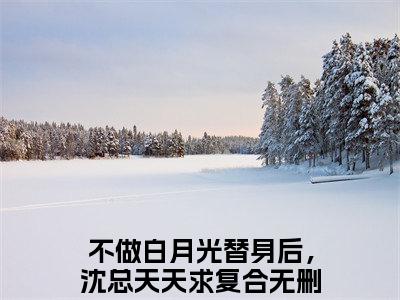 沈璟翊虞双（不做白月光替身后，沈总天天求复合）全文在线阅读无弹窗大结局_(沈璟翊虞双在线阅读)最新章节列表_笔趣阁