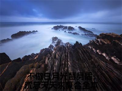小说（沈璟翊虞双）不做白月光替身后，沈总天天求复合精选片段阅读-小说不做白月光替身后，沈总天天求复合免费版最新更新阅读