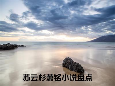 苏云杉萧铭（苏云杉萧铭）最新章节阅读-（苏云杉萧铭）免费阅读大结局无弹窗