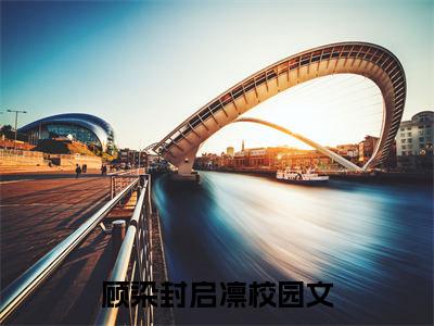 顾染封启凛小说全文（顾染封启凛）全文免费阅读无弹窗大结局_顾染封启凛全文免费阅读无弹窗最新章节列表_笔趣阁